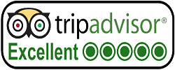 TRIP ADVISOR Reviews
